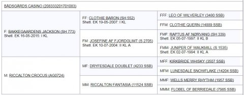 Bådsgårds Casino's afstamning
