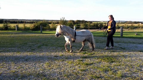 Jackson og Nina træner til Materialprøve