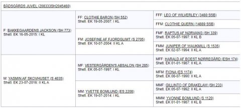Afstamning - Bådsgårds Juvel