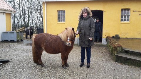 Thybo's Celine - hjem til opdrætter
