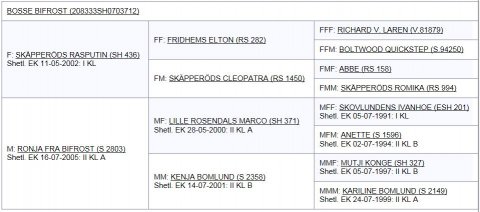 Bosse Bifrost's afstamning