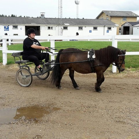 Bådsgårds Baby - her til træning