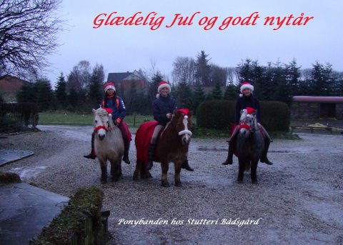 Juleponybanden