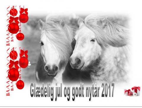 Glædelig jul og godt nytår
