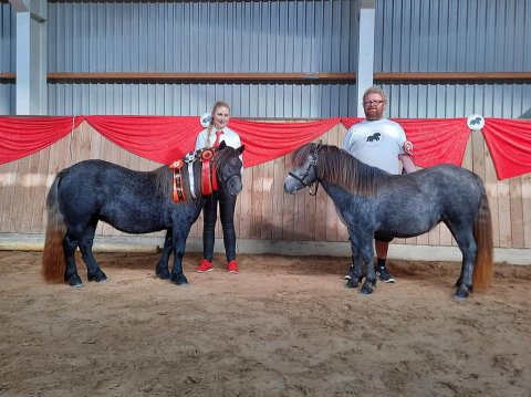 Bådsgårds Daisy og Bådsgårds Juvel