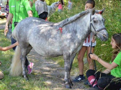 Yasmin af Skovhuset - 3 år