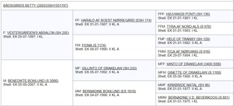 Bådsgårds Betty's afstamning