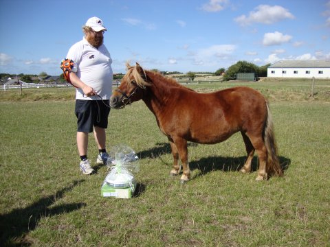 Bådsgårds Baronesse
