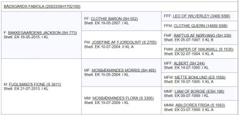 Bådsgårds Fabiola's afstamning