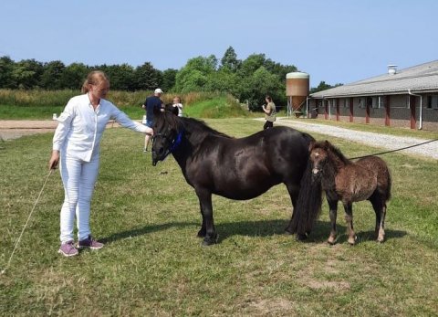 Bolette og Bådsgårds Osvald