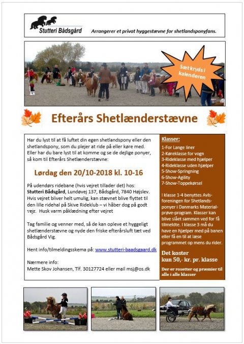 Efterårs Shetlænderstævne 2018