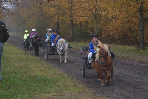 Merrylegs og Bådsgårds Line til Jysk Grandprix Merrylegs og Bådsgårds Line til Jysk Grandprix
