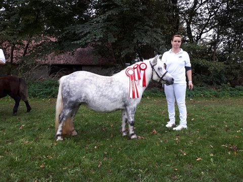 Bådsgårds Yasmin 24 point