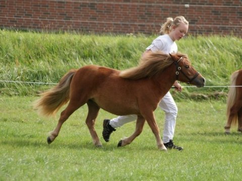 Bådsgårds Baronesse Bådsgårds Baronesse