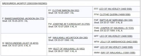 B&aring;dsg&aring;rds Jackpot's afstamning