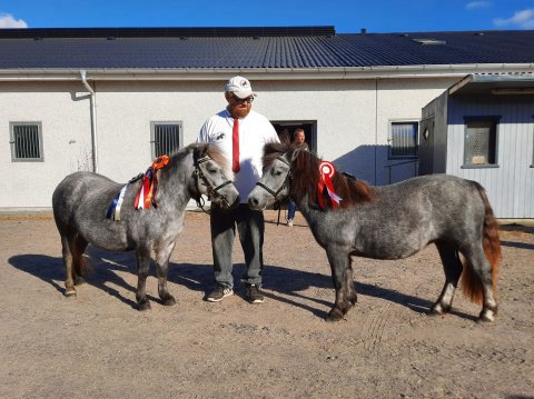 Bådsgårds Bella og Bådsgårds Bianca