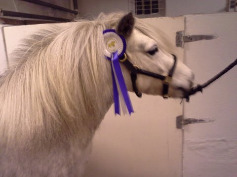 Bjerregaards Annabel