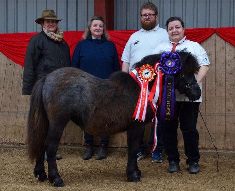 Bådsgårds Fabiola - 1 år