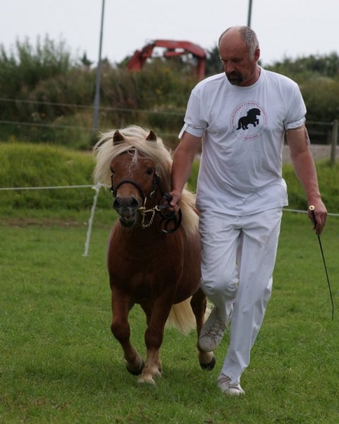 Bådsgårds Baron Bådsgårds Baron