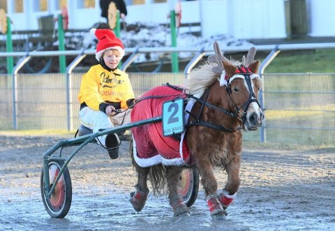 Bådsgårds Beauty og Richard