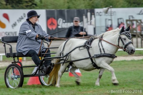 Pedersmindes Katharina