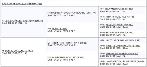 Bådsgårds Luna's afstamning