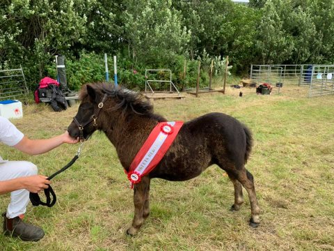Eskedalens Frøj-Frøj
