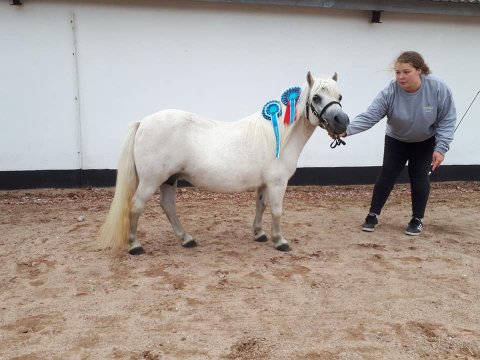 22 årige Yvette Bomlund til M&M