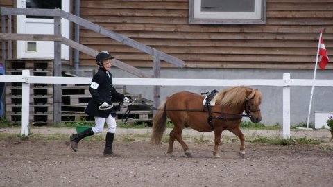 Bådsgårds Filur Bådsgårds Filur