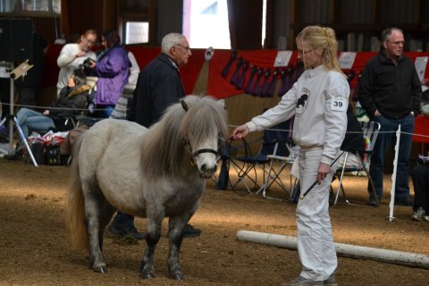 Bjerregaards Annabel