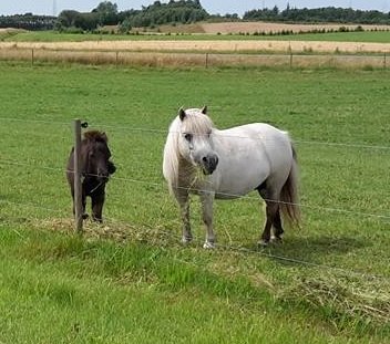Yvette Bomlund og Bådsgårds Yoga juli 2015
