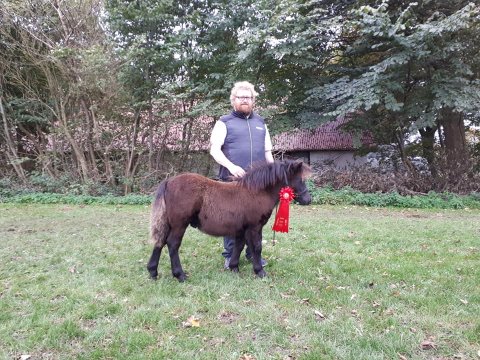 Bådsgårds Jedi og Kjeld