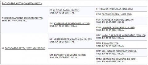 Bådsgårds Anton - Afstamning