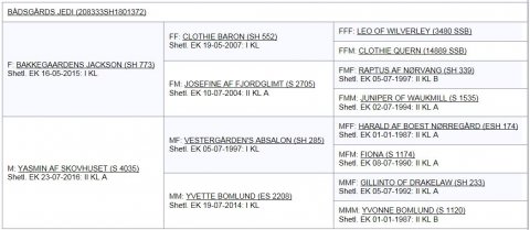 Bådsgårds Jedi's afstamning