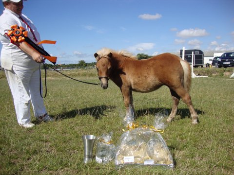 Bådsgårds Babushka