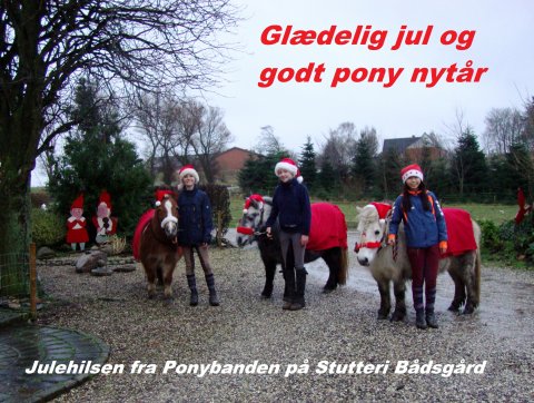 Juleponybanden