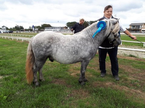 Bådsgårds Bolero på 2 år til M&M