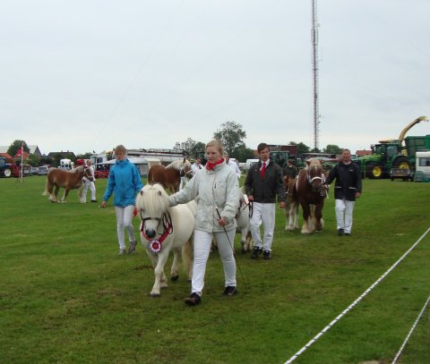 Samling - stolte Bento