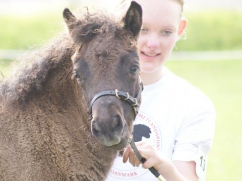 Bådsgårds Diva Bådsgårds Diva