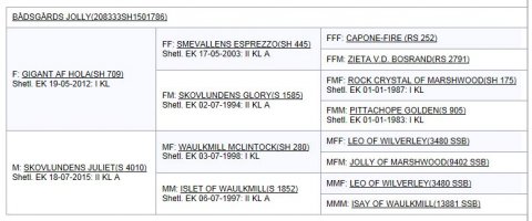 Afstamning Bådsgårds Jolly