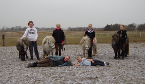 Dygtige hestepiger Dygtige hestepiger