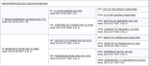 B&aring;dsg&aring;rds Bolero's afstamning