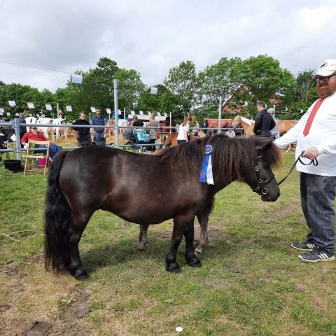 Bådsgårds Betty 2022