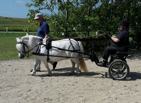 Bjerrgaards Annabel for vogn