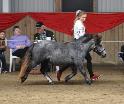 Bådsgårds Bianca - 1 år - Sulsted 2022