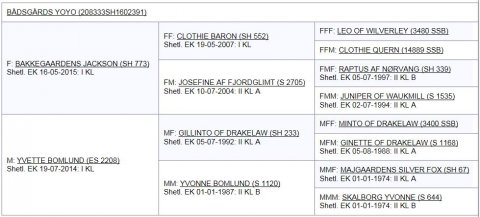Bådsgårds Yoyo's afstamning