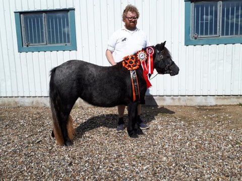 Best in Show - Bådsgårds Yoyo