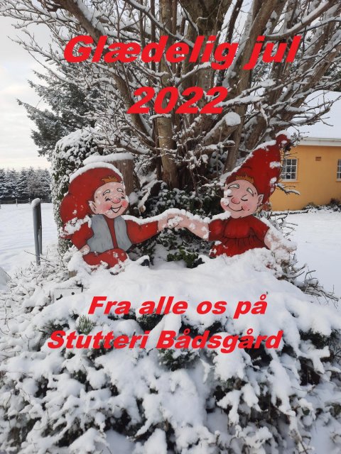 Julekort 2022