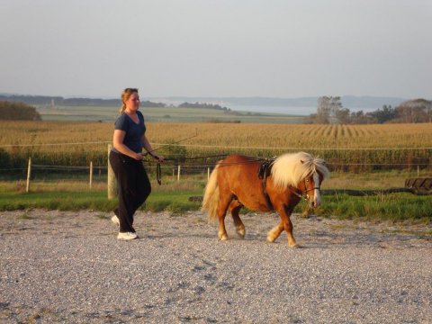 Benzon og Nina træner Benzon og Nina træner