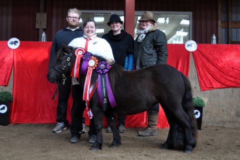 Bådsgårds Ludo - BIS 2016